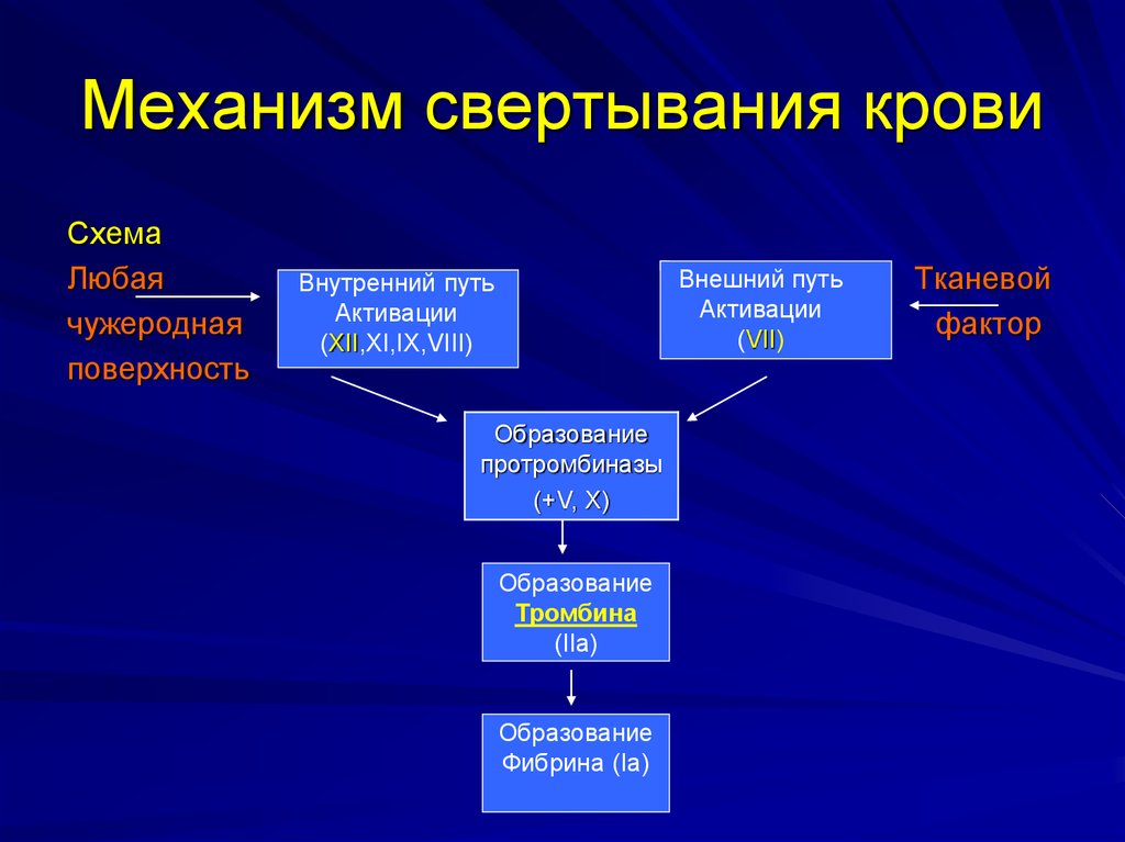 Внешний механизм. Механизм свертывания крови кратко. Внутренний механизм свертывания крови кратко. Механизм активации факторов свертывания крови. Свертывающая система крови механизмы.