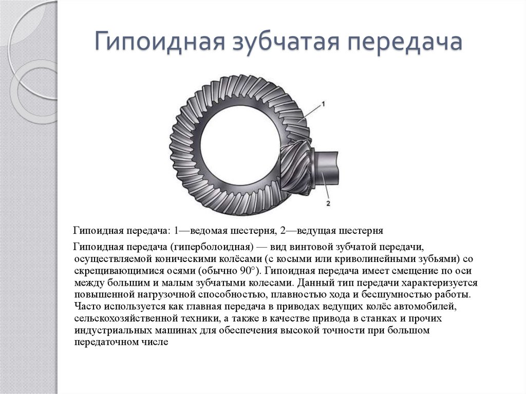 Зубчатое образование толстой