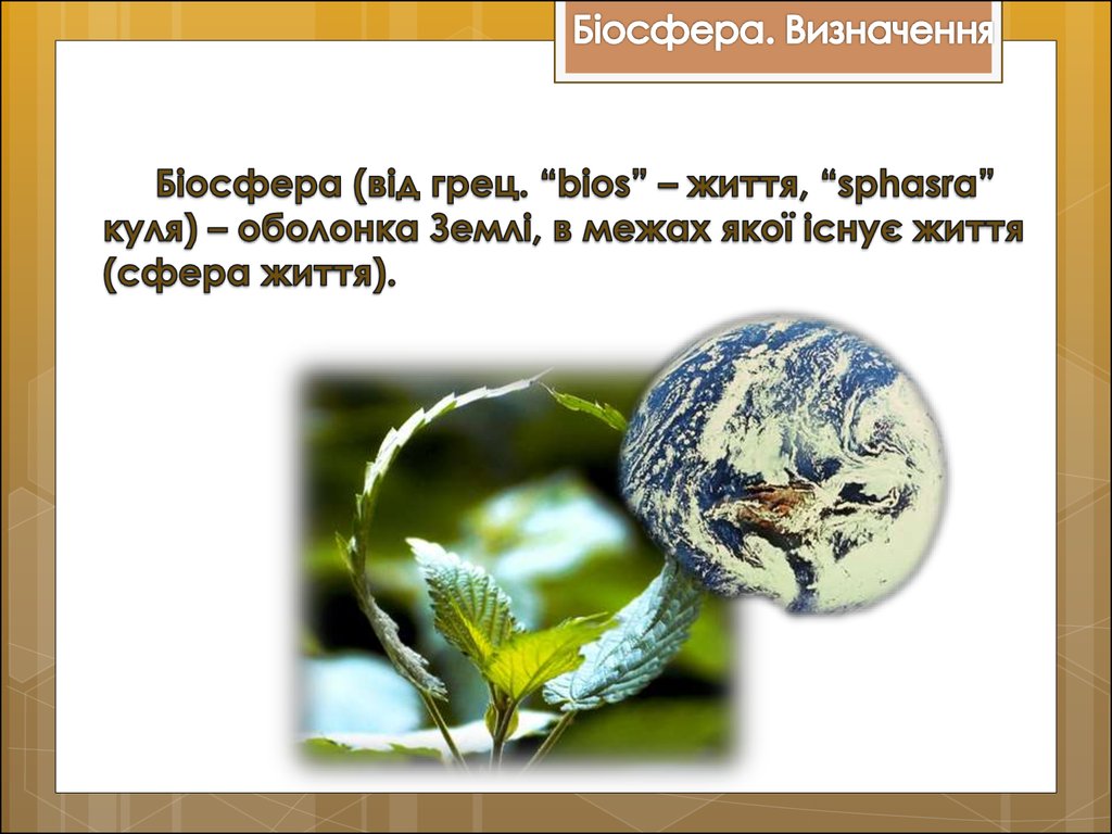 Реферат: Вчення В І Вернадського про біосферу та ноосферу 2