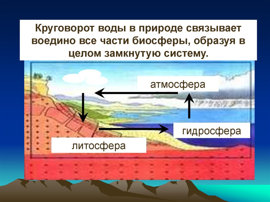 Взаимодействие биосферы с гидросферой. Взаимодействие атмосферы и гидросферы. Взаимодействие гидросферы и биосферы. Взаимодействие гидросферы и литосферы.