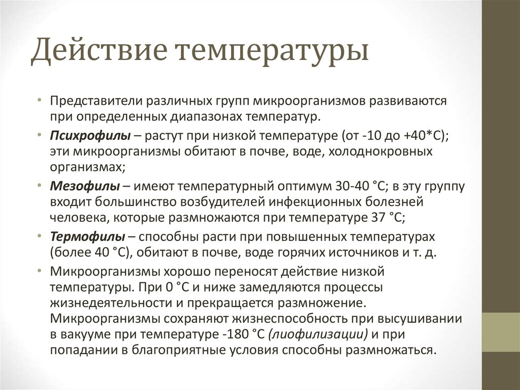 Действующая температура. Действие температуры на микроорганизмы. Действие низких температур на микроорганизмы. Действие на микроорганизмы высокой и низкой температуры. Микроорганизмы, развивающиеся при низких температурах:.