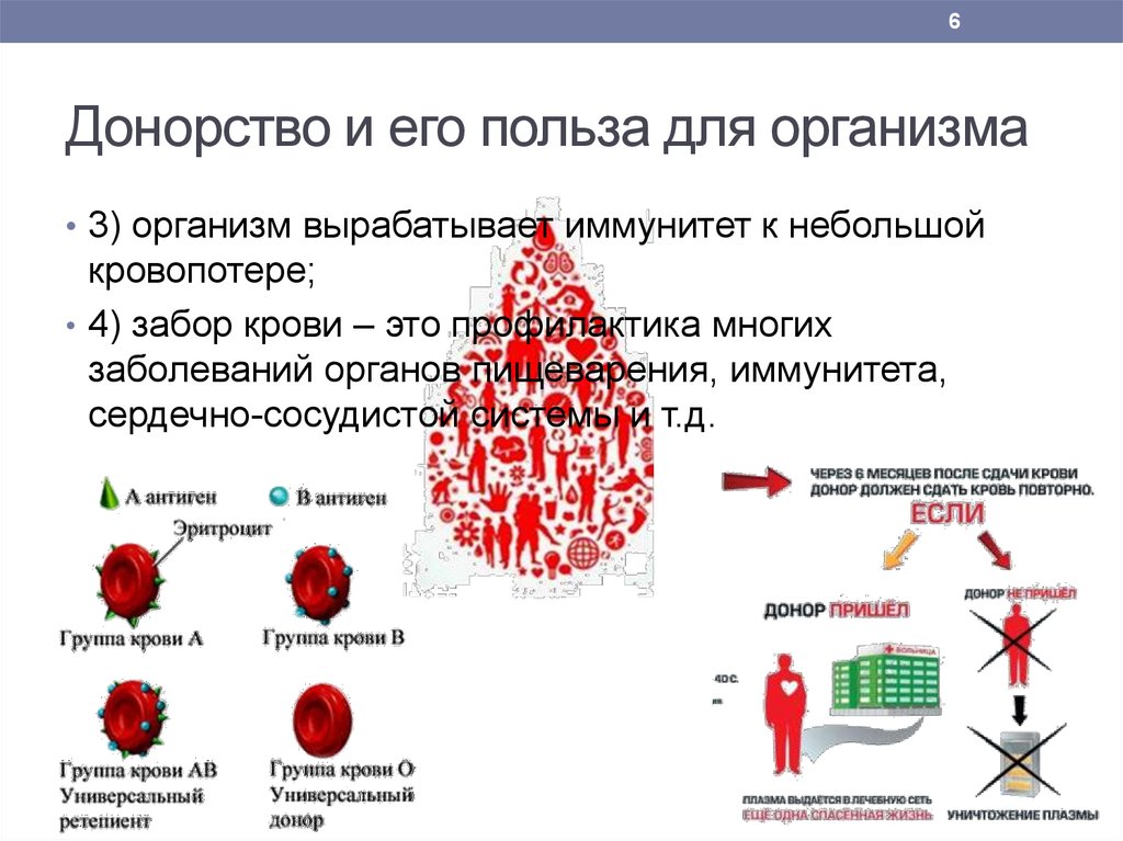 Организм сдает. Плюсы сдавать кровь на донорство. Плюсы быть донором крови. Минусы донорства крови. Сдача крови донорство полезно?.