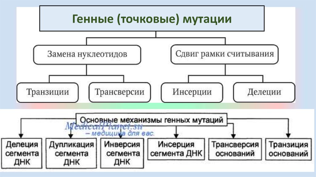 Схема мутации генные