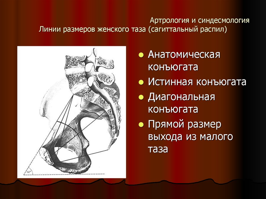 Конъюгат. Конъюгаты таза Акушерство. Конъюгаты таза анатомия. Диагональная конъюгата в акушерстве. Наружная конъюгата измерение.