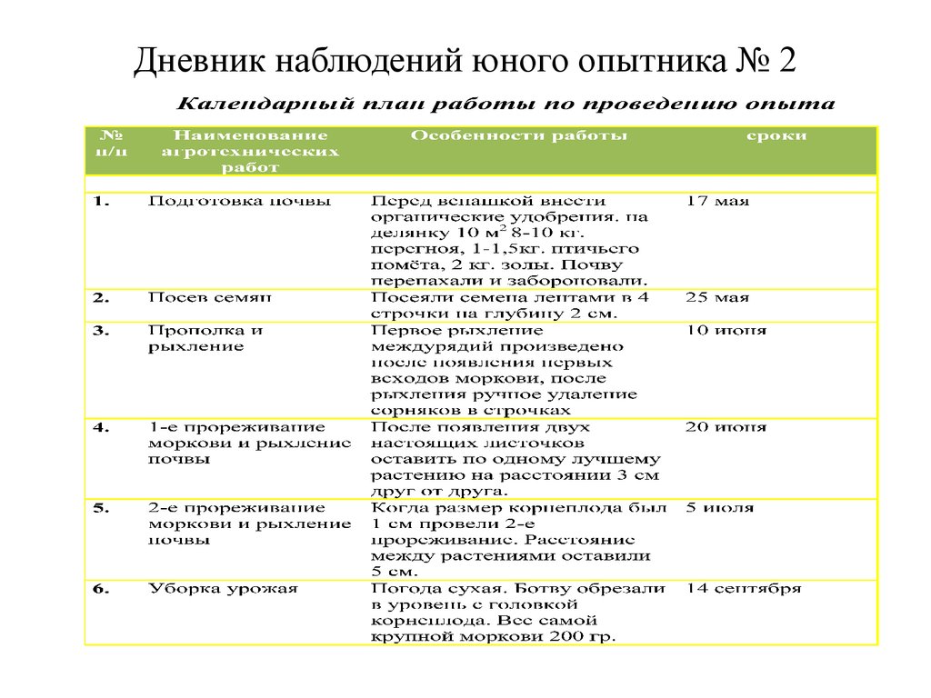 Дневник исследователя образец