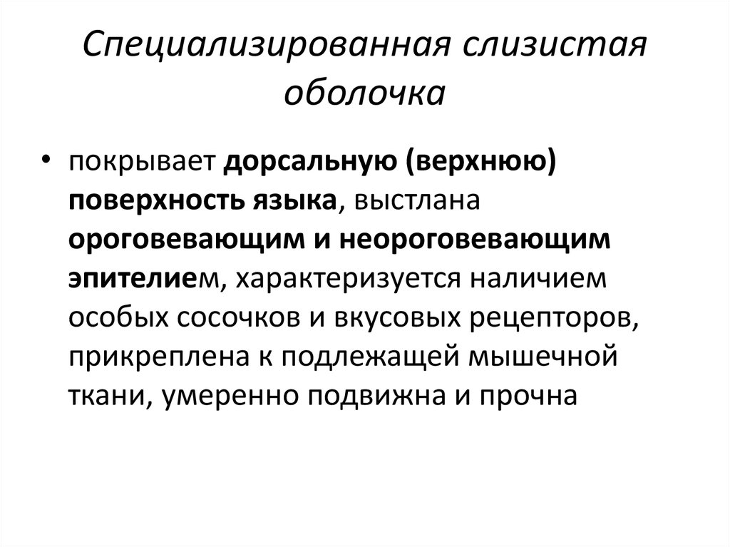 Особенности строения слизистой оболочки полости рта