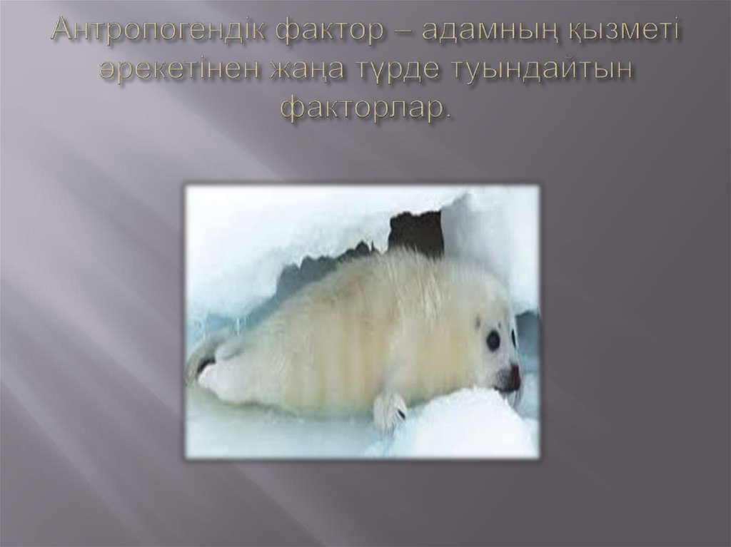 Антропогендік фактор – адамның қызметі әрекетінен жаңа түрде туындайтын факторлар.