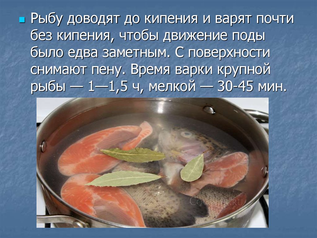 Сколько варится в духовке. Рыба для варки. Время варки крупной рыбы. Принцип варки рыбных. Куски рыбы доведенные до кипения.