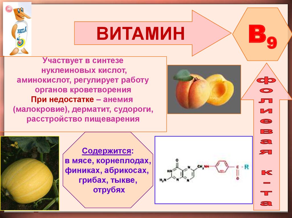 Синтез витаминов. Витамин с принимает участие. Витамины в синтезе нуклеиновых аминокислот. Витамин к участвует в синтезе. Витамин участвующий в кроветворении.