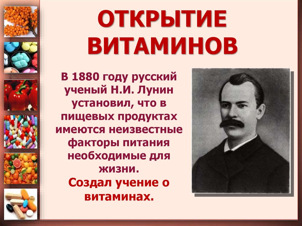 Создать открытие. Открытие витаминов Лунин. История открытия витаминов. История открытия витаминов Лунин. Русский ученый н.и.Лунин.