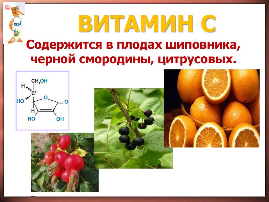 Витамины в шиповнике. Витамины в плодах. Витамин а содержится. Витамины содержащиеся в плодах. Витамины в плодах шиповника.