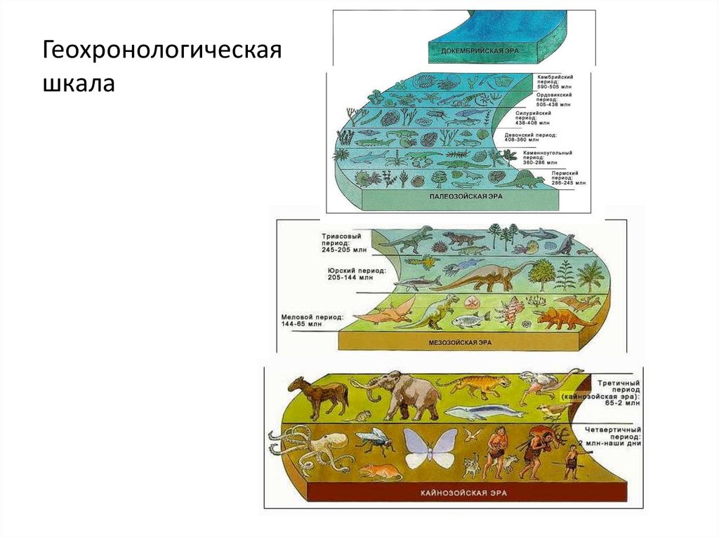 Презентация геологическая история земли