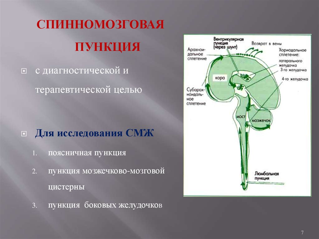 Пункция спинномозговой жидкости. Спинномозговая пункция с целью диагностики. Спинномозговая пункция в неврологии. Субокципитальная пункция мозжечковомедуллярной цистерны;. Субокципитальный прокол мозжечково-медуллярной цистерны.