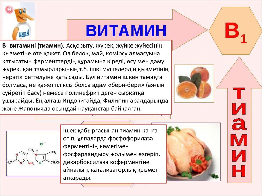 Витамин е роль в организме. Витамины биология 8 класс. Характеристика витаминов. Витамин е функции.