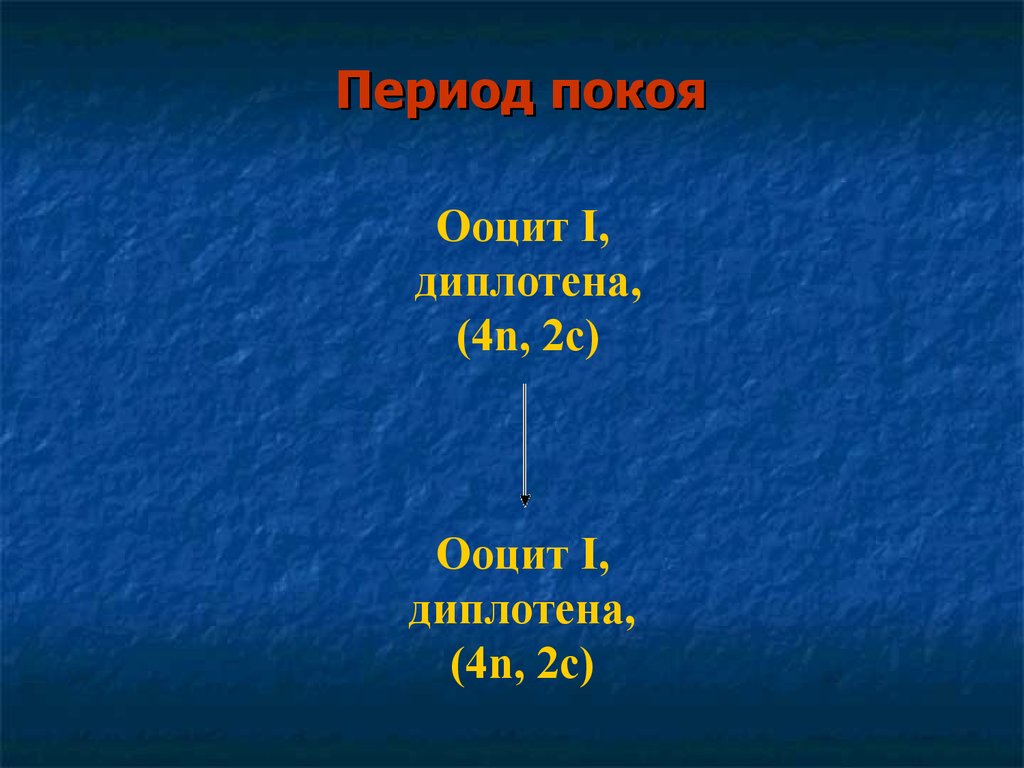 Период покоя. Период покоя у растений. Период покоя примеры. Презентация по теме период покоя у животных.