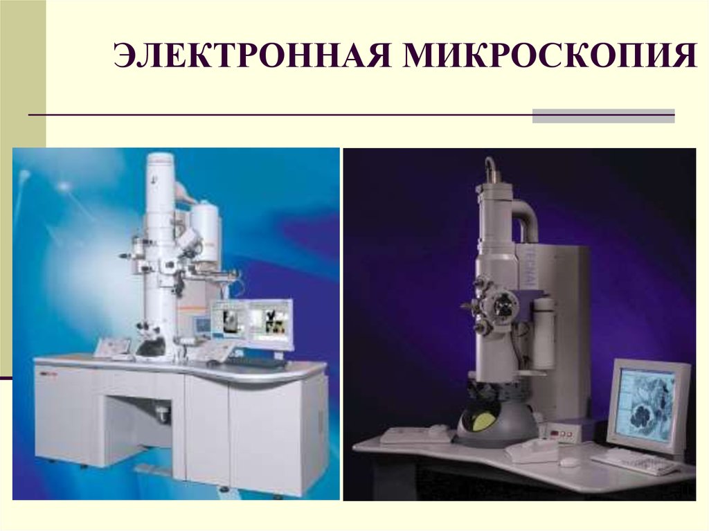 Электронная микроскопия без криообработки. Сканирующий электронный микроскоп световой микроскоп. Электронная микроскопия. Электронный микроскоп слайд. Современные электронные микроскопы.