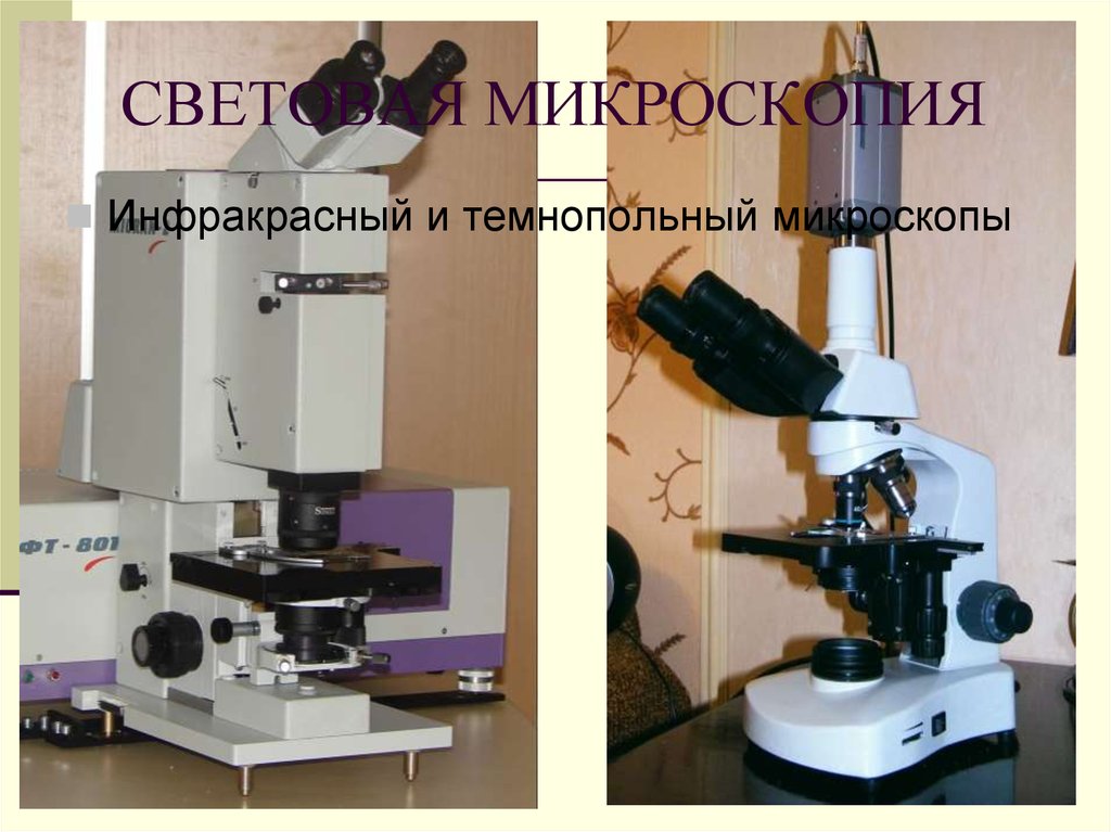 Увеличение изображения обеспечиваемое световым микроскопом соответствует увеличение