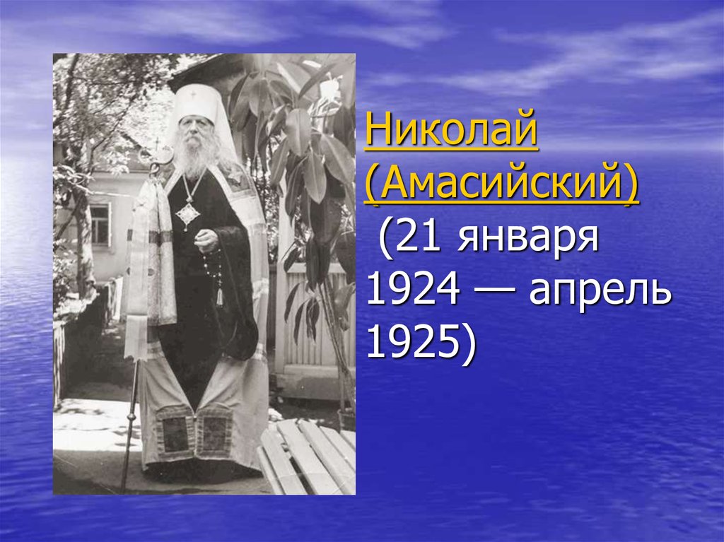 Николай (Амасийский)  (21 января 1924 — апрель 1925)