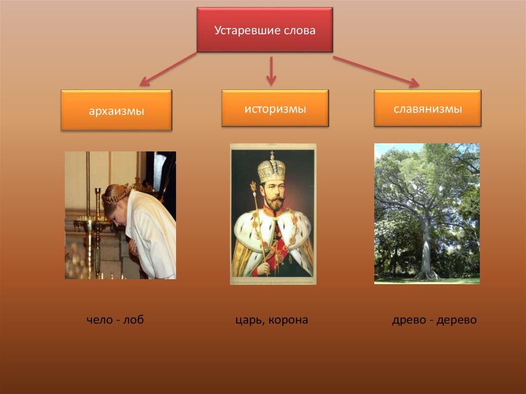 Слова архаизмы историзмы. Архаизмы. Старославянизмы историзмы и архаизмы. Устаревшие слова Славянизмы. Историзмы архаизмы Славянизмы.