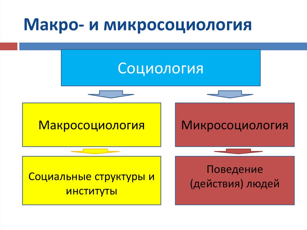 Институт поведение