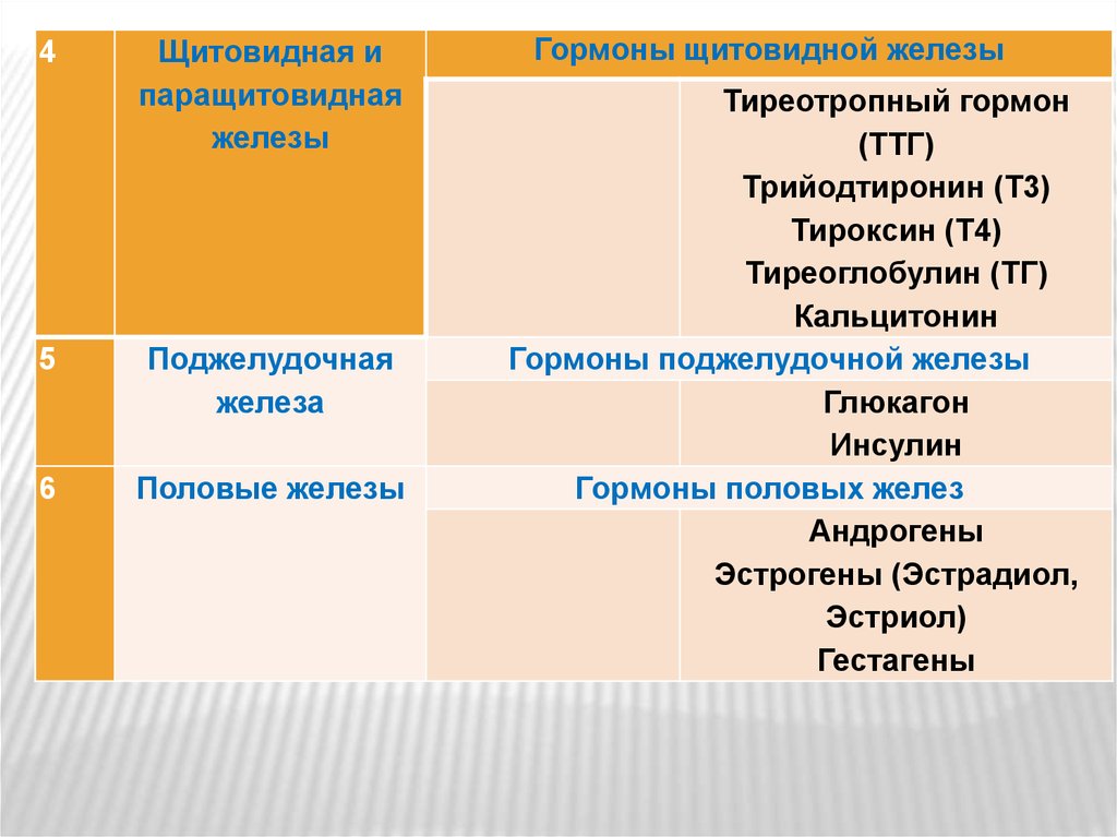 Щитовидная железа гормоны щитовидной железы. Щитовидная железа гормоны и функции таблица. Гормоны щитовидной железы и их функции. Гормоны выделяемые щитовидной железой и их функции. Эффекты гормонов щитовидной железы таблица.