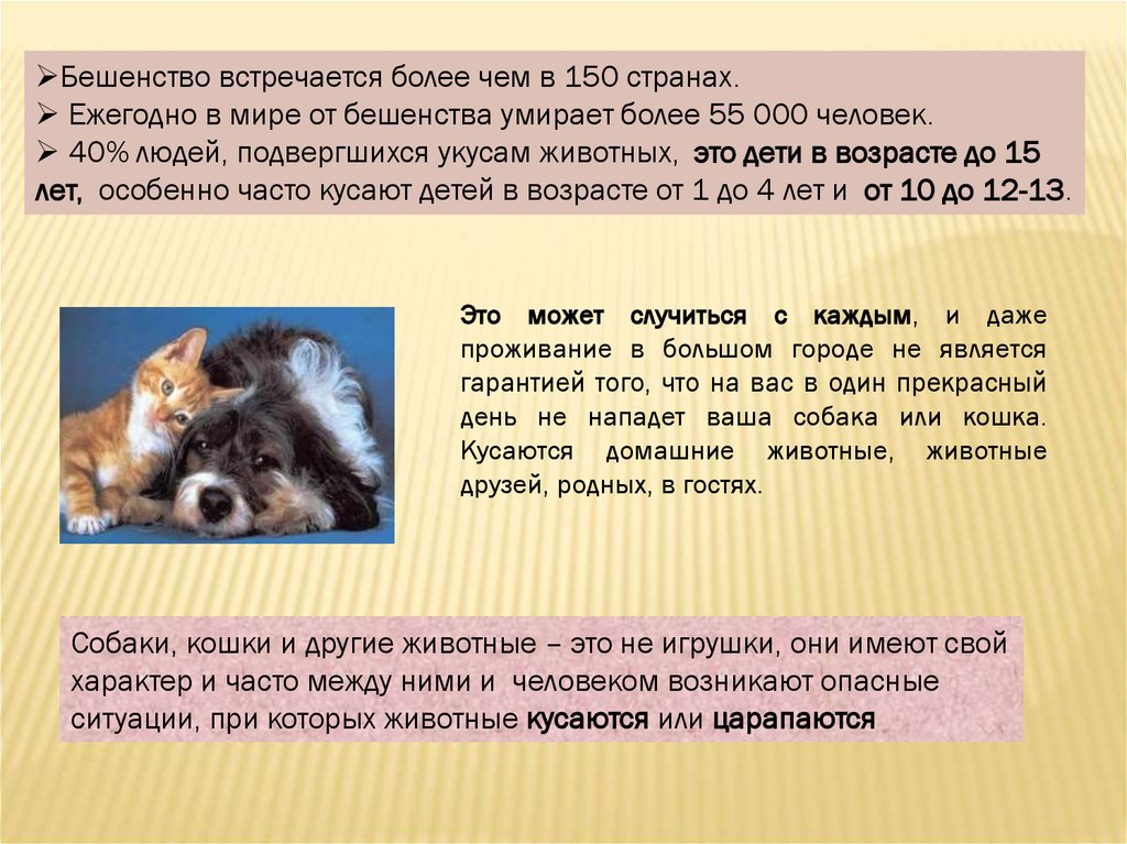 Через сколько бешенство. Летальность от бешенства. Причины смерти от бешенства. Инкубационный период бешенства у собак.