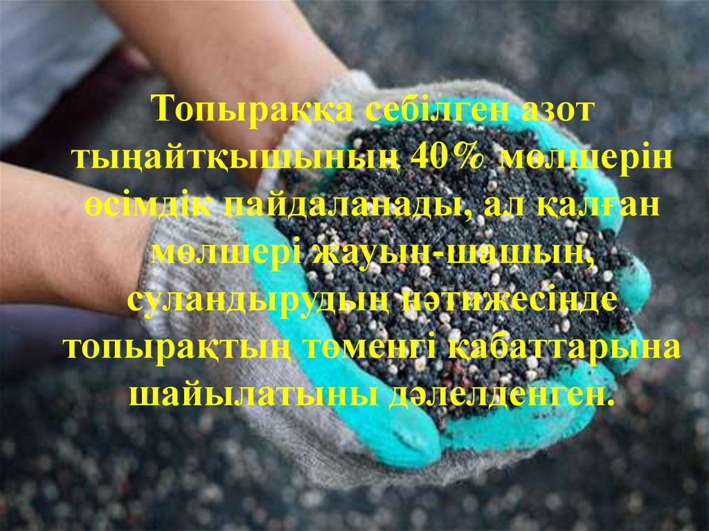 Топыраққа себілген азот тыңайтқышының 40% мөлшерін өсімдік пайдаланады, ал қалған мөлшері жауын-шашын, суландырудың нәтижесінде