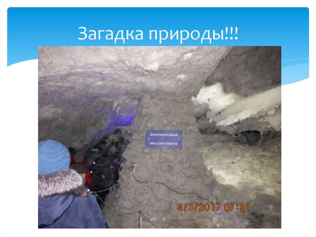 Загадка природы!!!