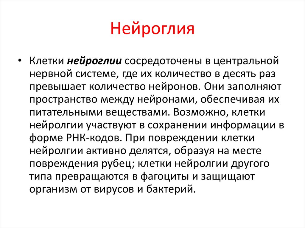 Нейроглия происхождение. Клетки нейроглии. Типы нейроглии. Нейроглия физиология. Нейроглия строение.