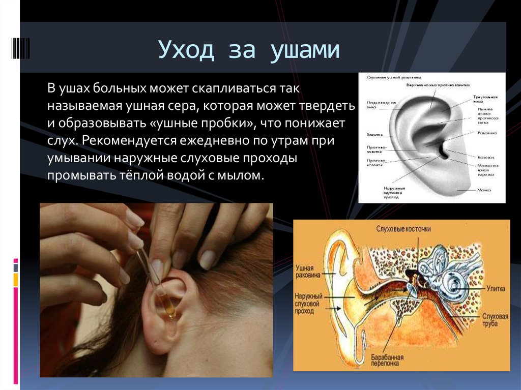 Шум среднего уха. Патология органов слуха.