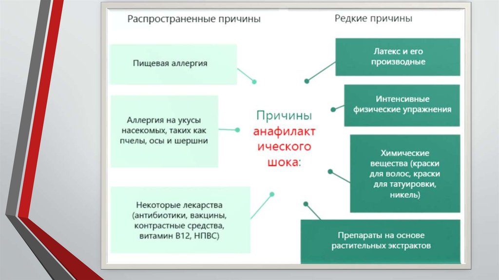 Неотложная терапия в схемах и таблицах практическое руководство для врачей