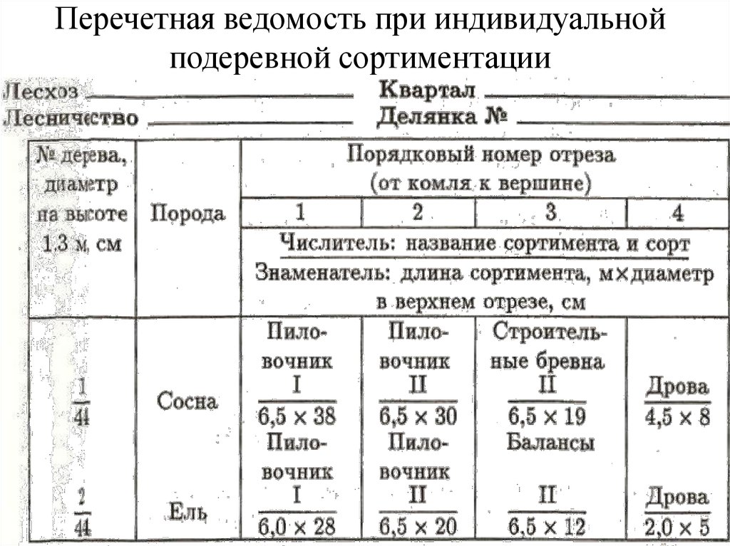 Образец перечетной ведомости для порубочного билета