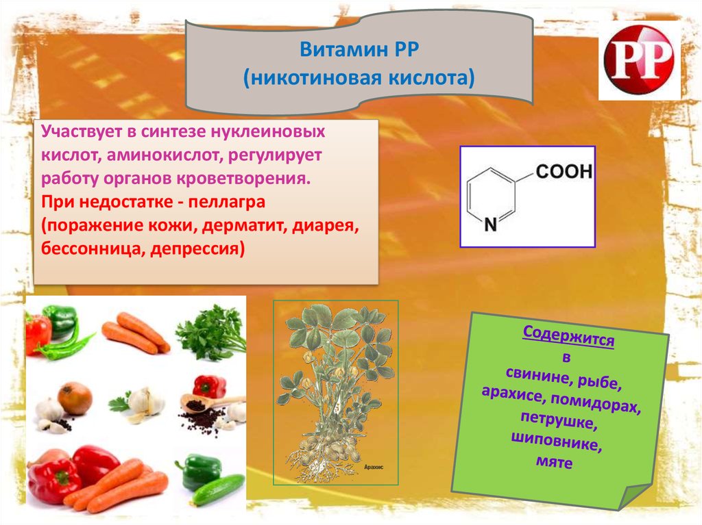 Витамин рр презентация