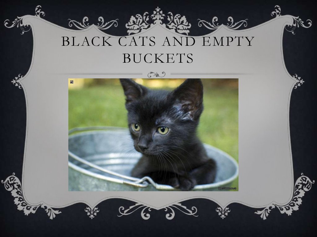 Black cats and empty buckets