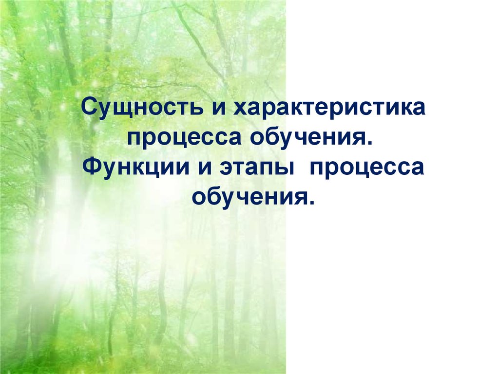 Сущность и характеристика процесса обучения. Функции и этапы процесса  обучения - презентация онлайн