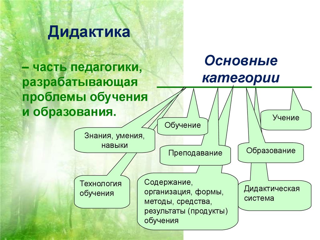 Основные формы обучения презентация