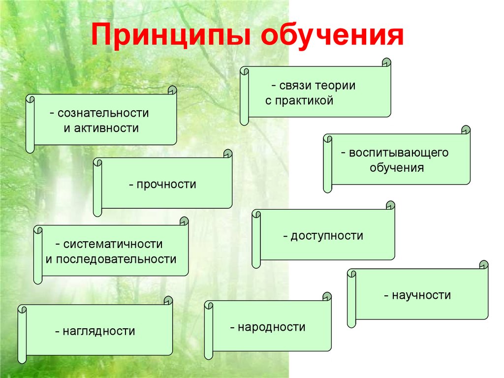 Составьте схему принципы обучения