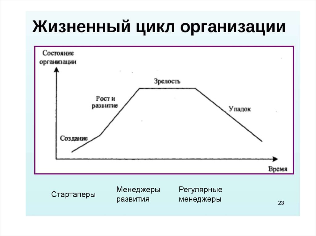 Этапы роста организации. Стадии жизненного цикла компании. Фазы жизненного цикла организации. Стадии жизненного цикла предприятия. Этапы жизненного цикла фирмы.