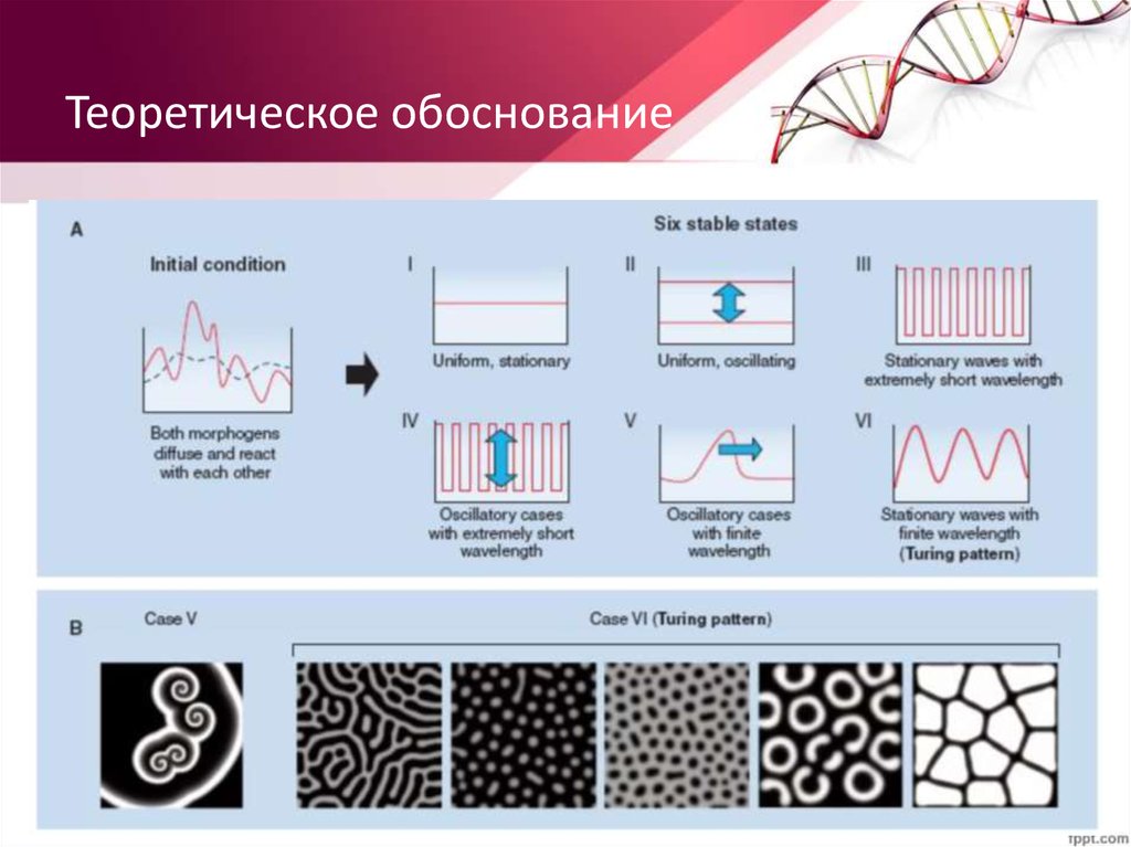 Теоретическое обоснование