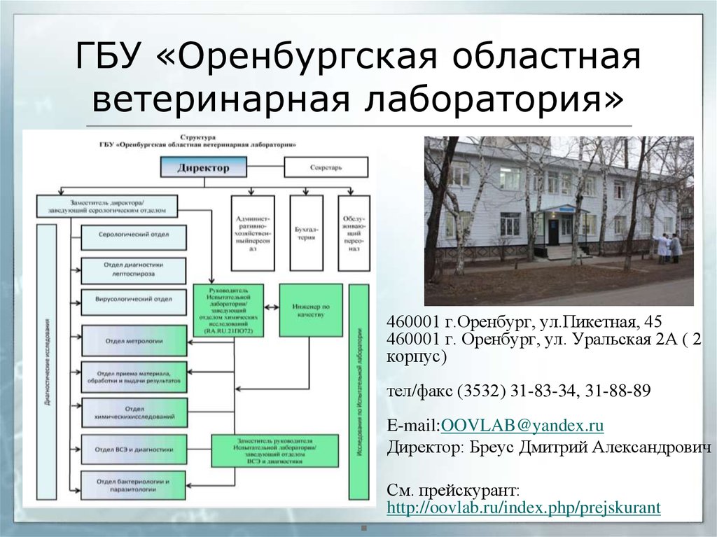 Строение лаборатории. Структура ветеринарной лаборатории. План ветеринарной лаборатории. Схема ветеринарной лаборатории. Структура работы ветеринарной лаборатории.