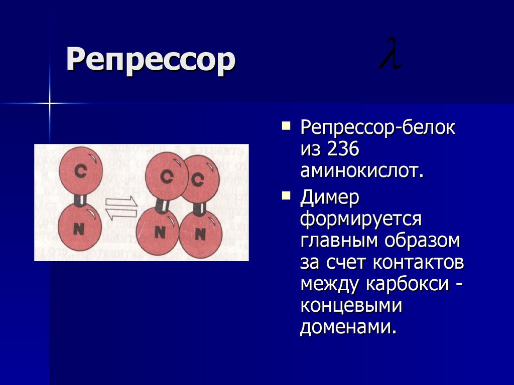 Радиационная генетика презентация