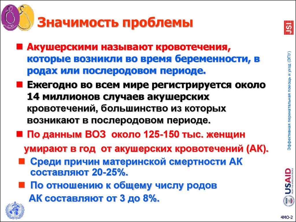 Проблема важности времени. Значимость проблемы. Косвенная акушерская причина материнской смертности.