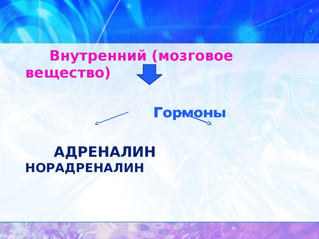 Внутреннее веществ. Гормон адреналин сайт учителей биологии МБОУ лицей 2 г Воронежа.