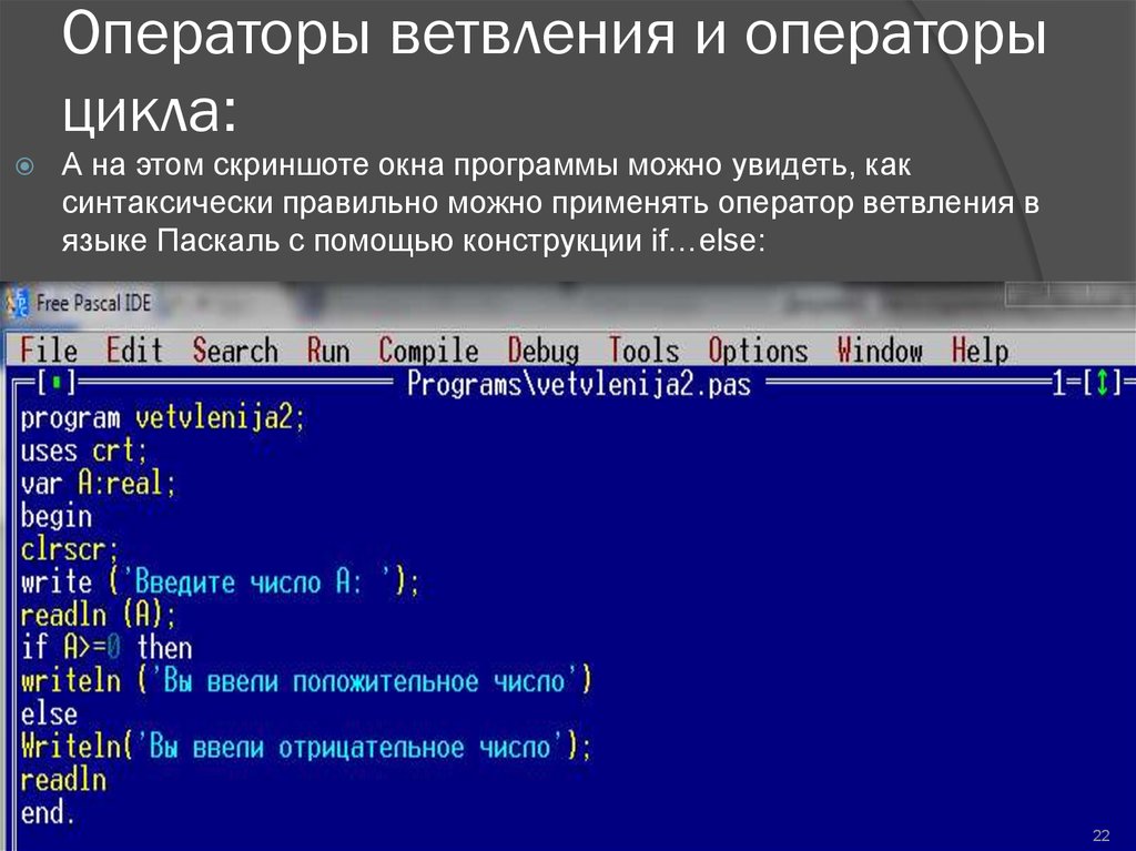 Язык создания программ. Разветвляющиеся программы на языке программирования Паскаль. Оператор ветвления Pascal. Ветвление в Паскале. Оператор ветвления в Паскале.