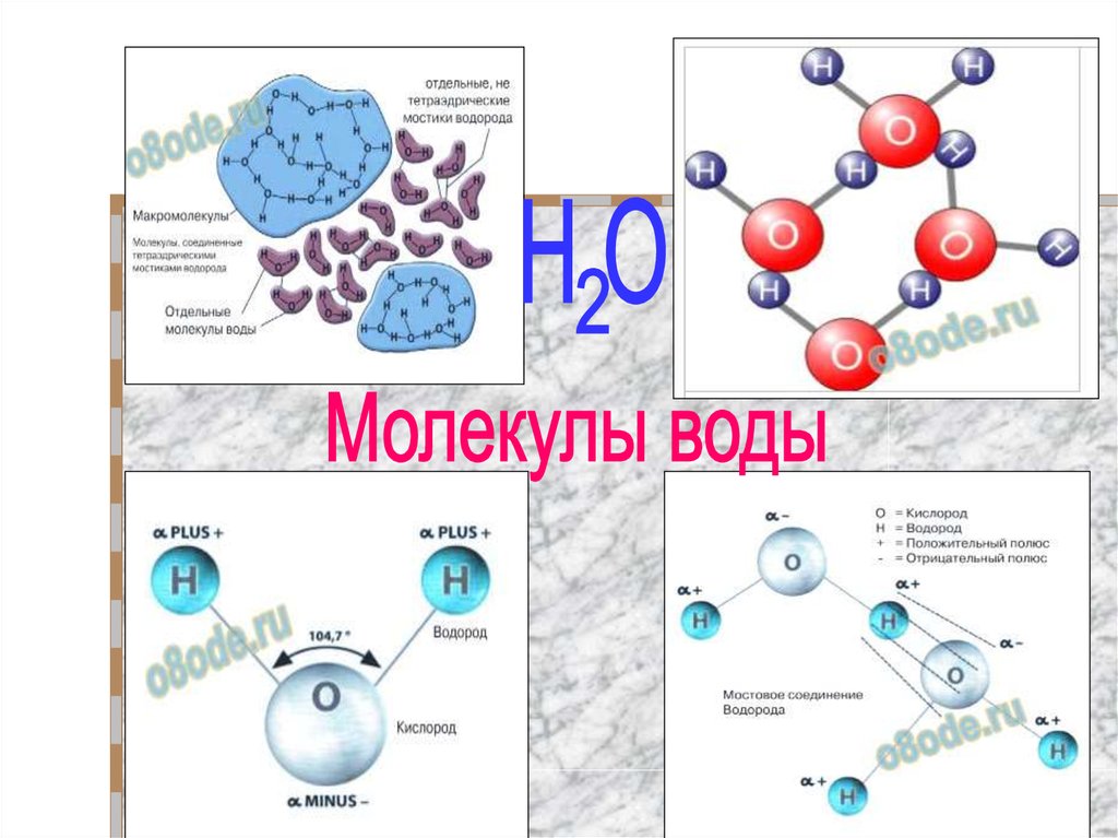 Оду веществ. Молекула воды химия удивительное. Схема воды химия. Ассоциация воды химия. Положительная и отрицательная роль воды.