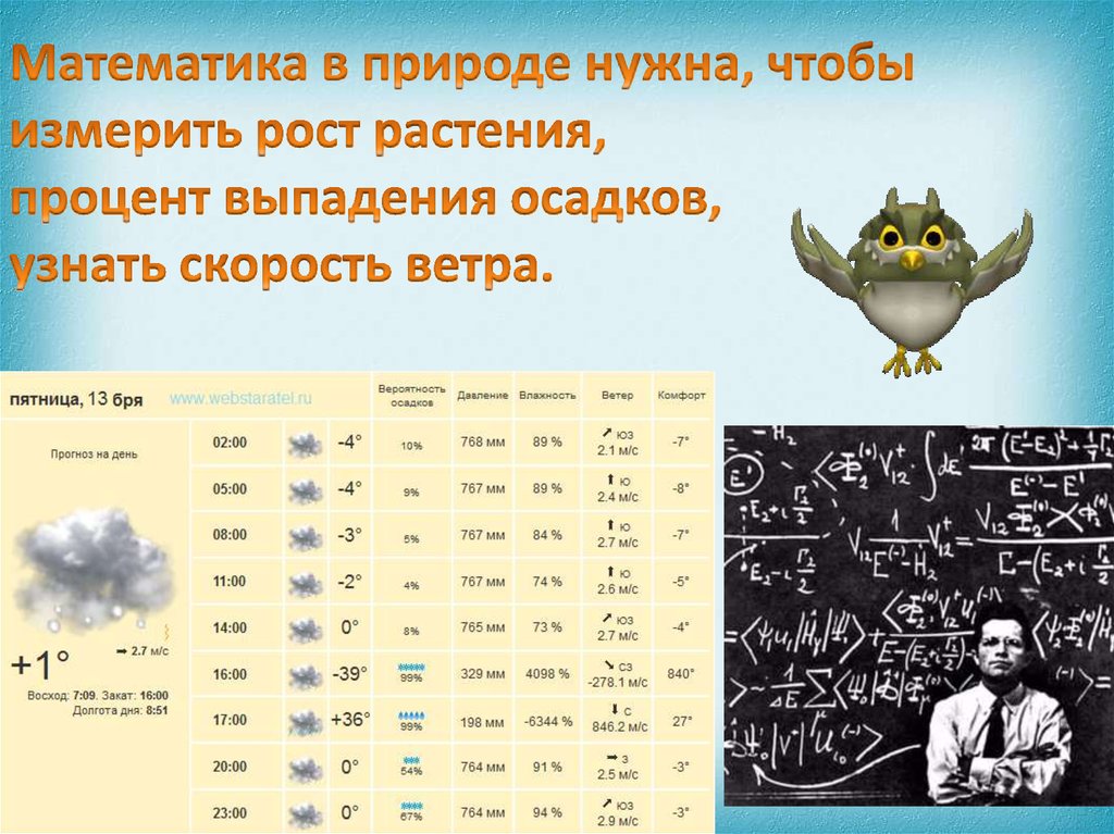 Проект по математике 5 класс на тему математика в природе