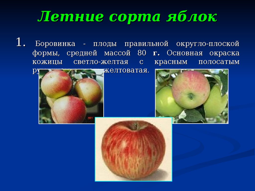 Краткое содержание салодкие яблоки