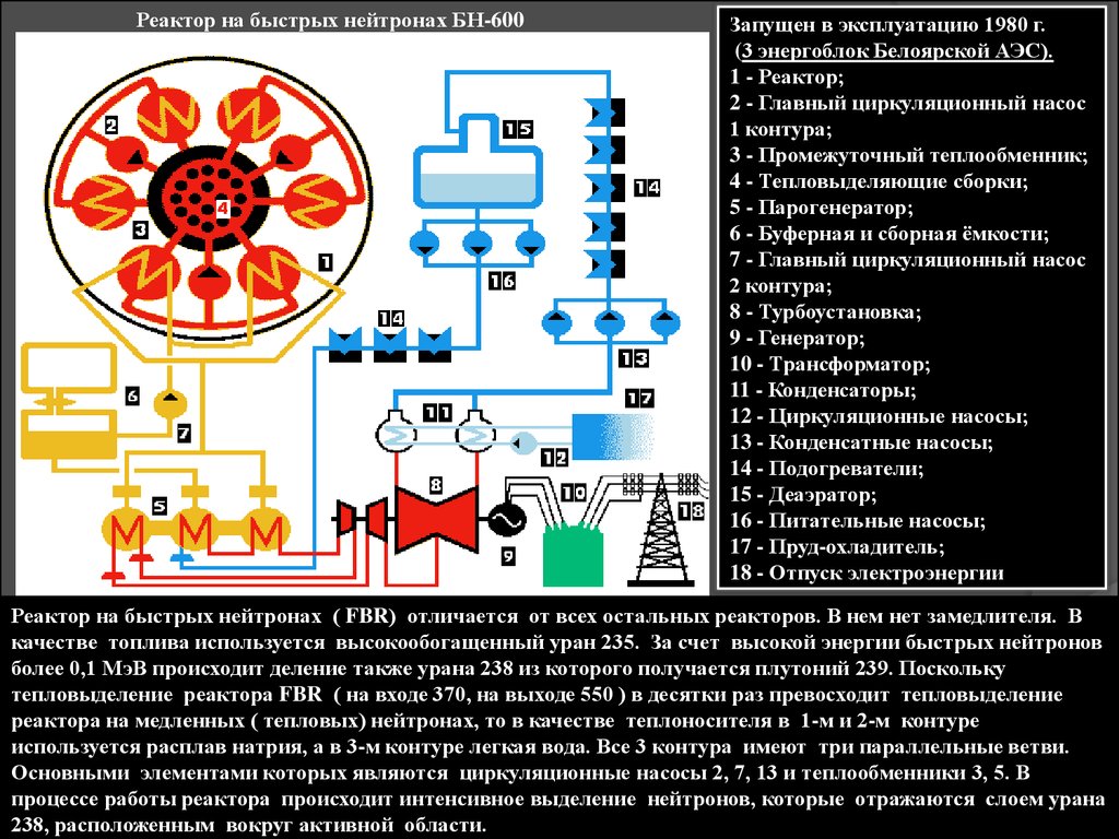 Реакторы на быстрых нейтронах аэс