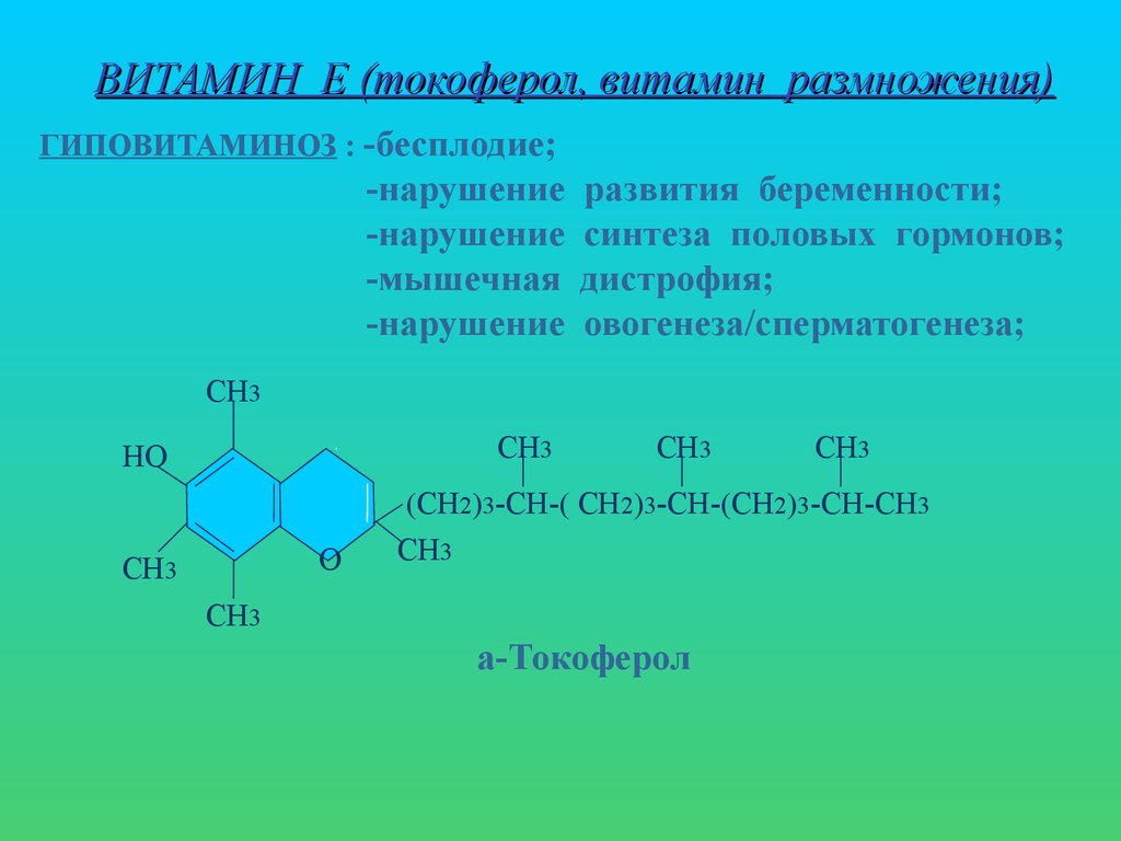 Витамин к презентация биохимия