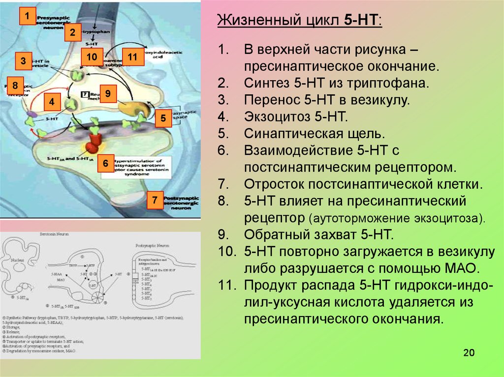 Тип синтеза